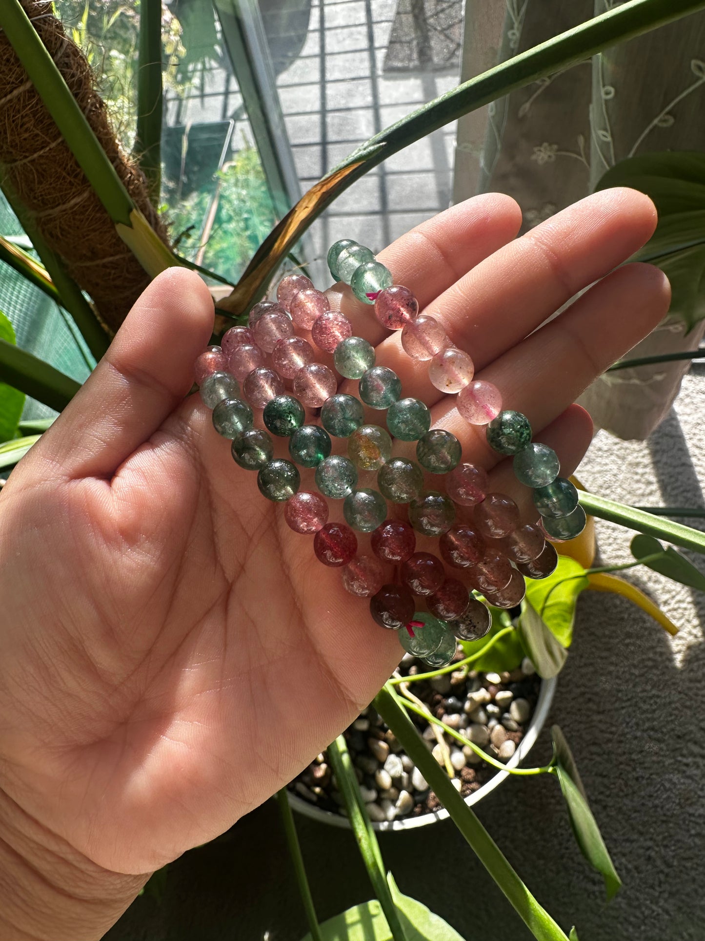 Watermelon quartz bracelet 8mm