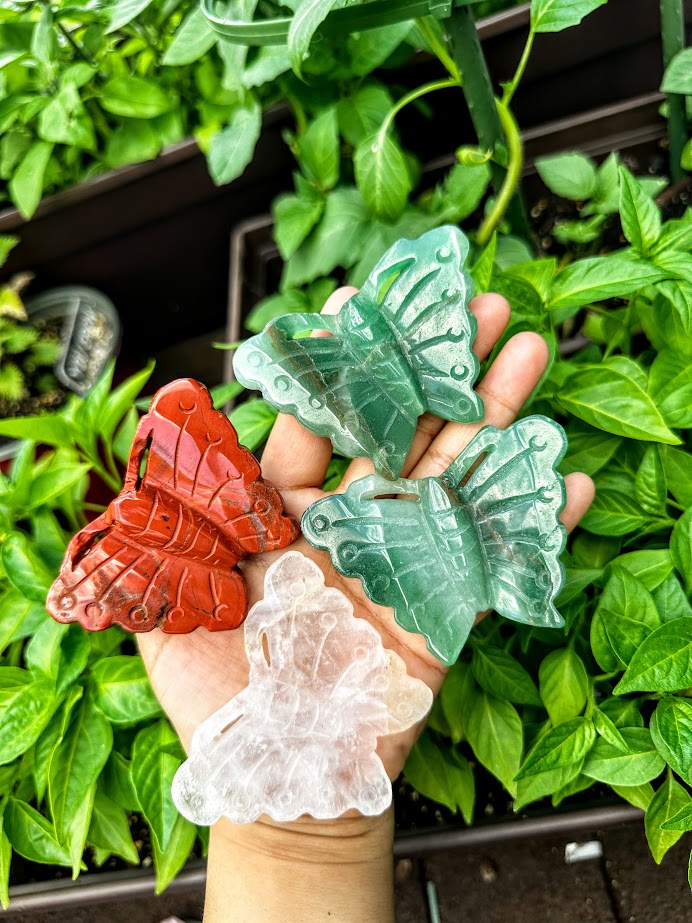 Butterfly Carvings Large