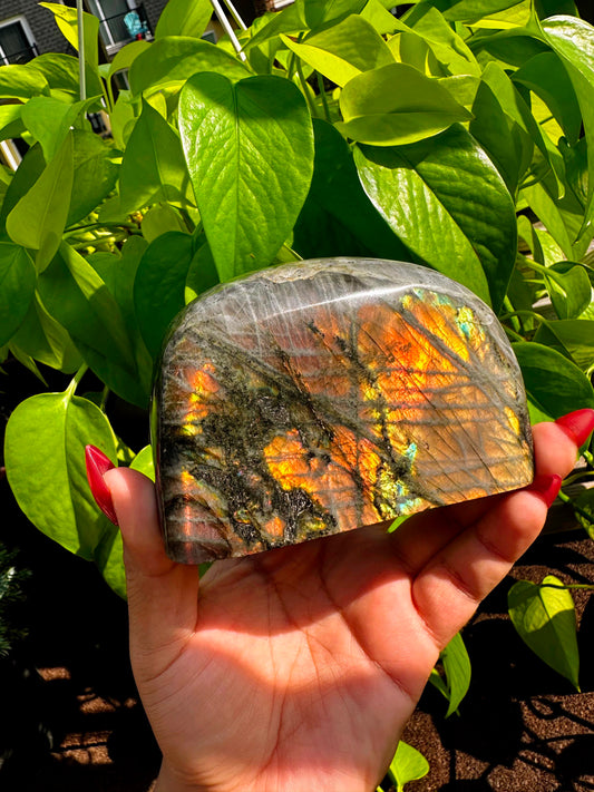 Labradorite Freeform