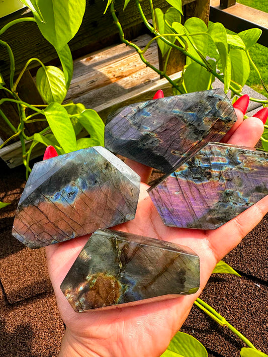 Labradorite Mini Freeform