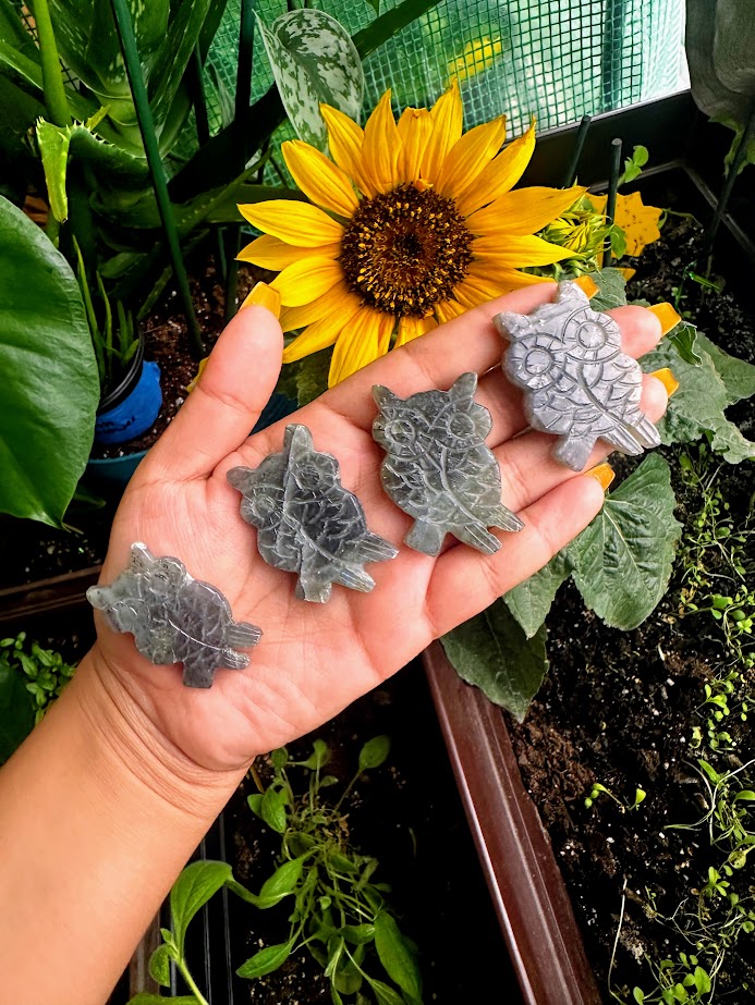 Labradorite Owl Crystal Carvings