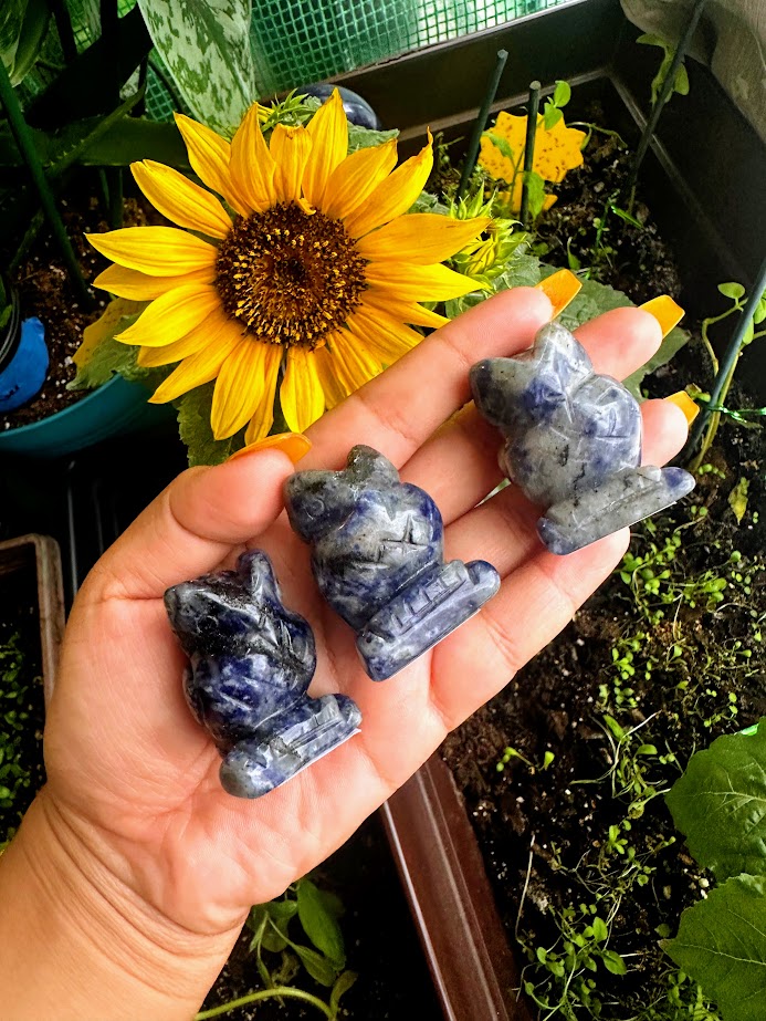 Sodalite Owl Crystal Carvings