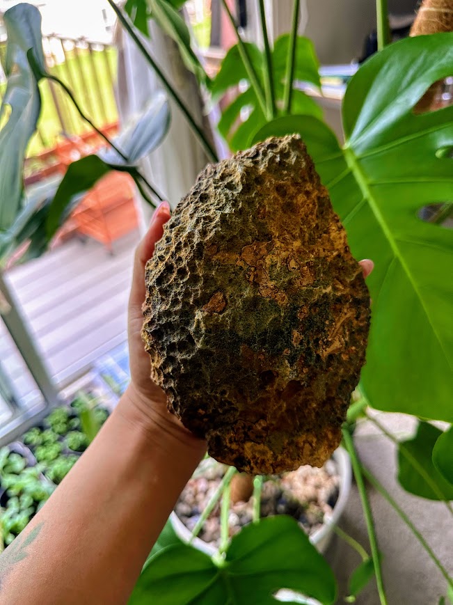 Amethyst Large Geodes