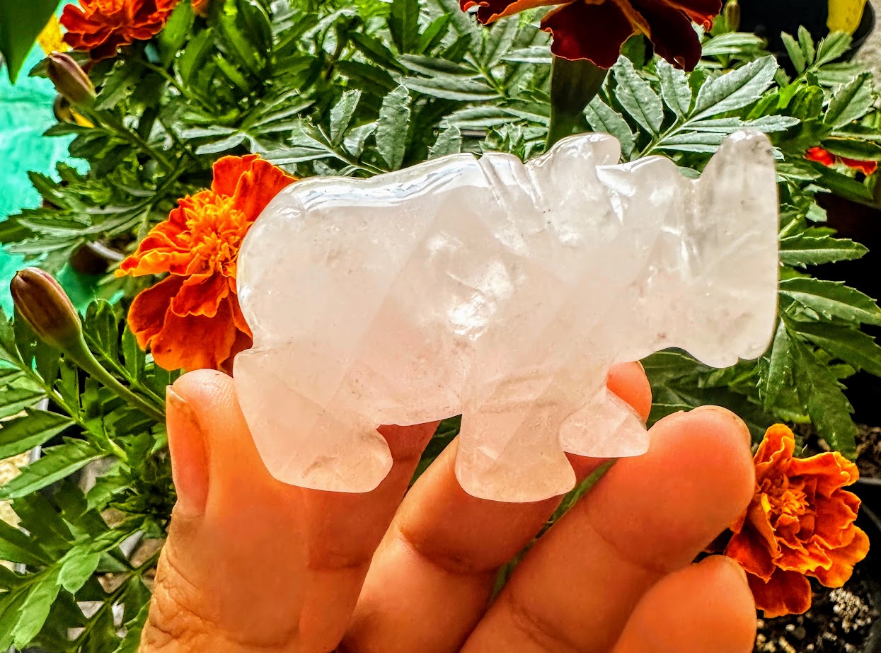 Rino Crystal Carving