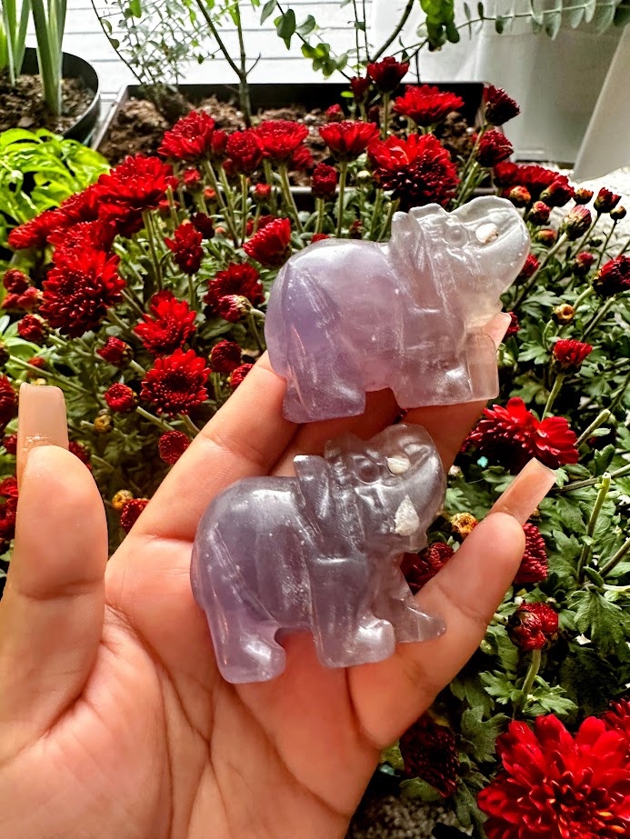 Fluorite Elephant