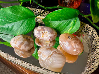 Flower Agate Palmstones