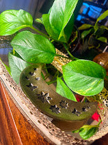 Gold Moon Incense Holder