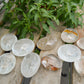 Clear Quartz Palmstone