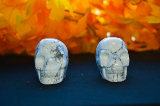 Howlite mini skulls