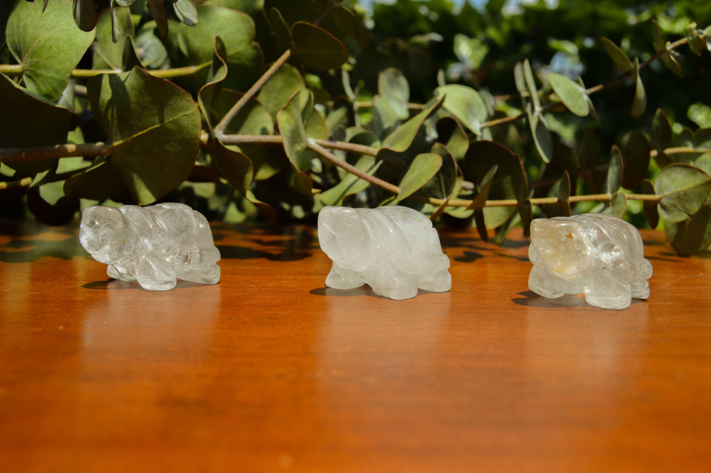 Clear Quartz Turtle Carving