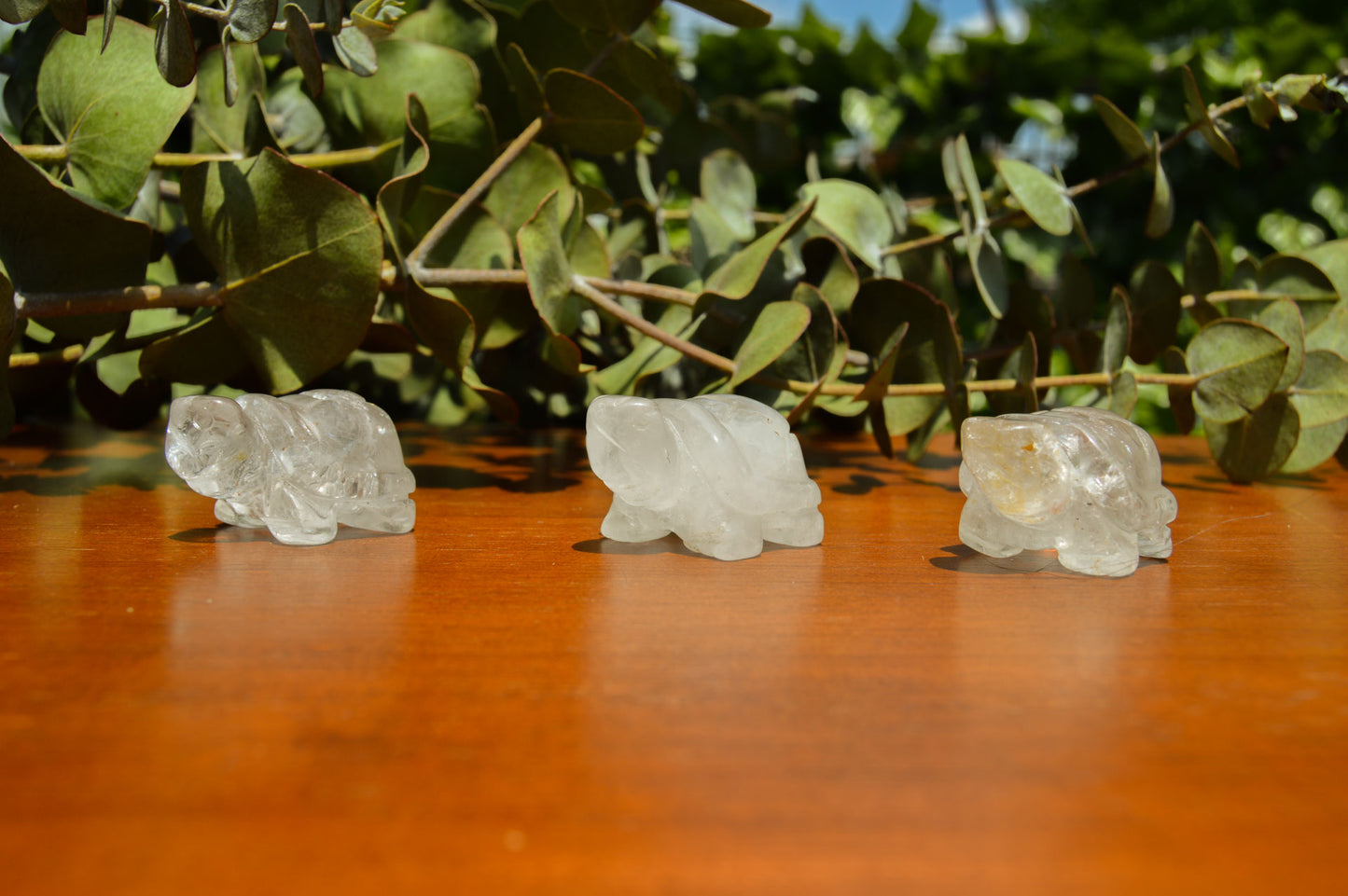 Clear Quartz Turtle Carving