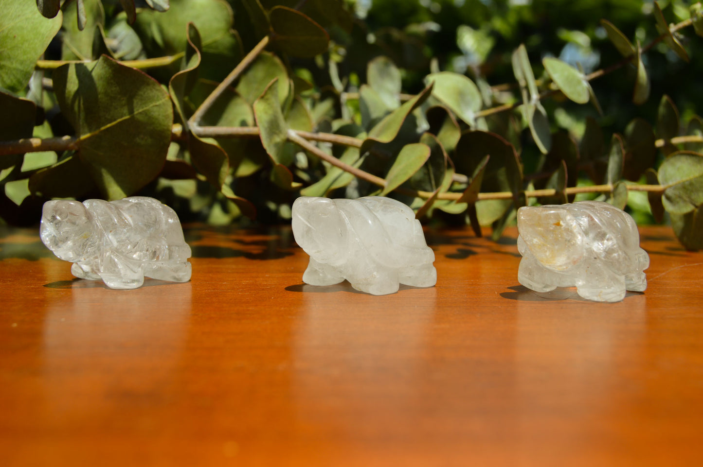 Clear Quartz Turtle Carving