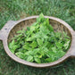 Lemon Balm herb baggie