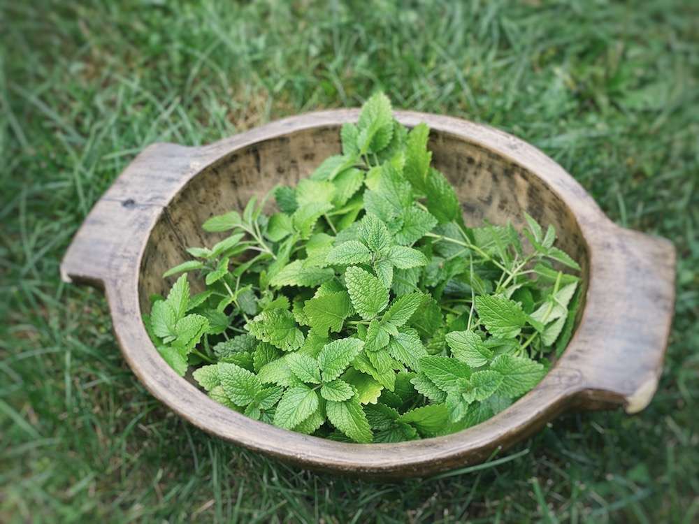 Lemon Balm herb baggie