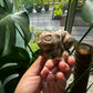 Bulbasaur Chocolate Calcite