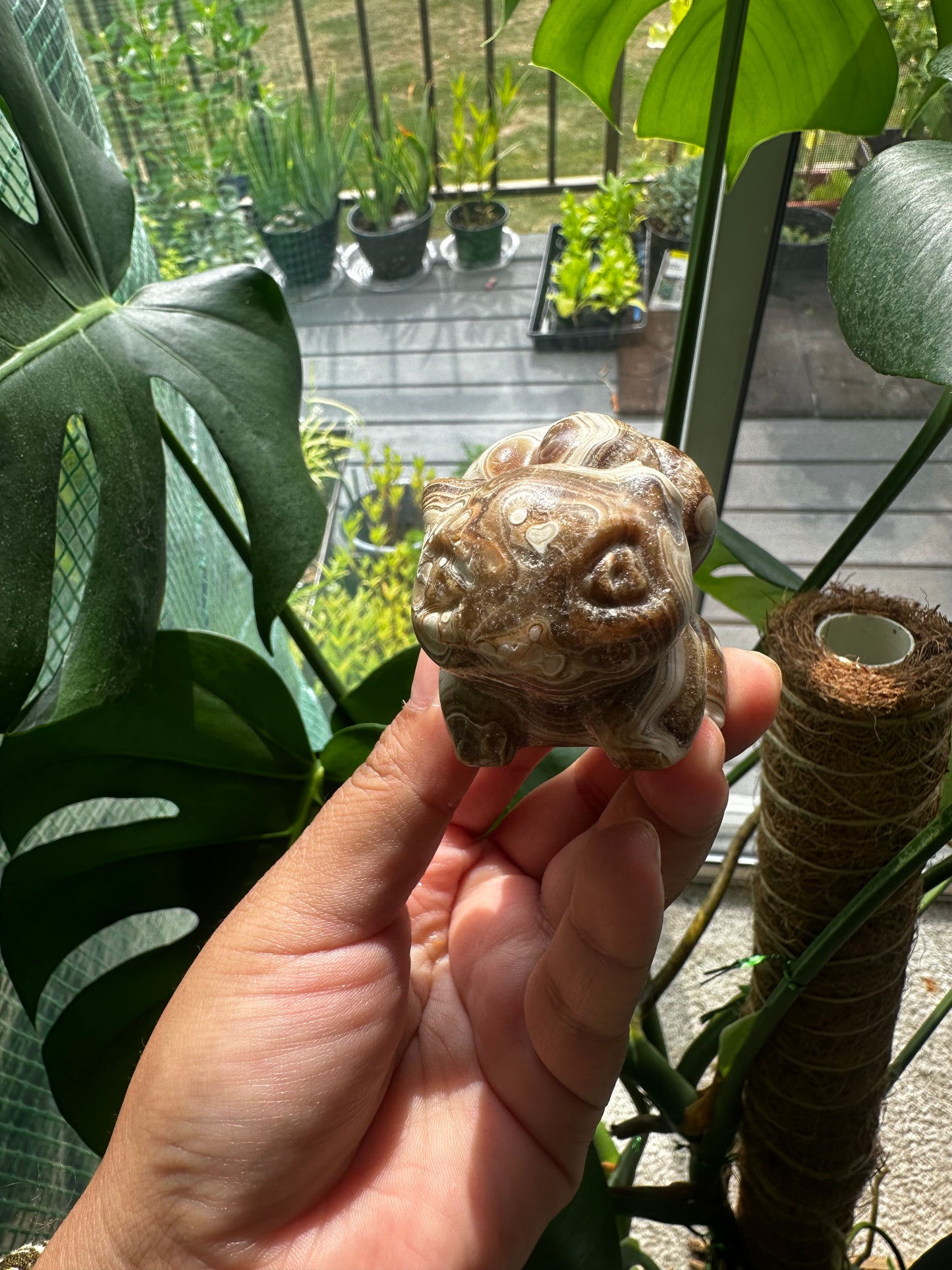 Bulbasaur Chocolate Calcite