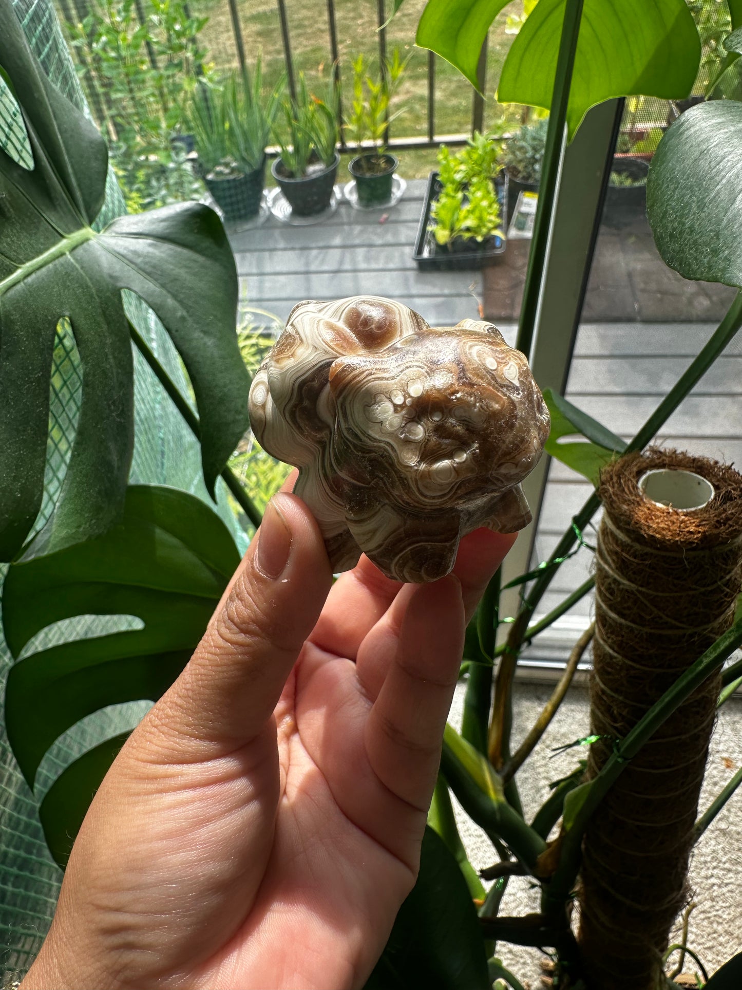 Bulbasaur Chocolate Calcite