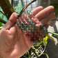 Watermelon quartz bracelet 8mm