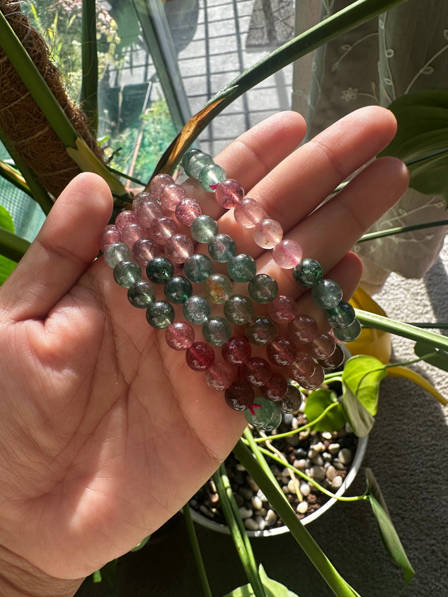 Watermelon quartz bracelet 8mm