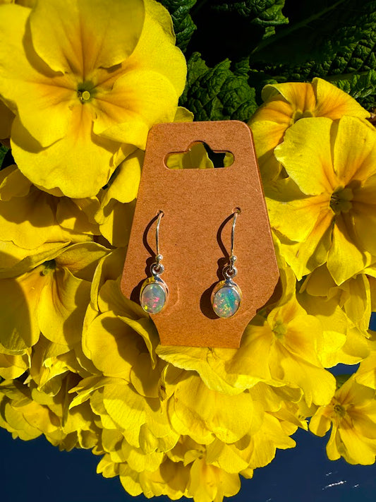 Ethiopian Opal Sterling Silver Dangled Earrings