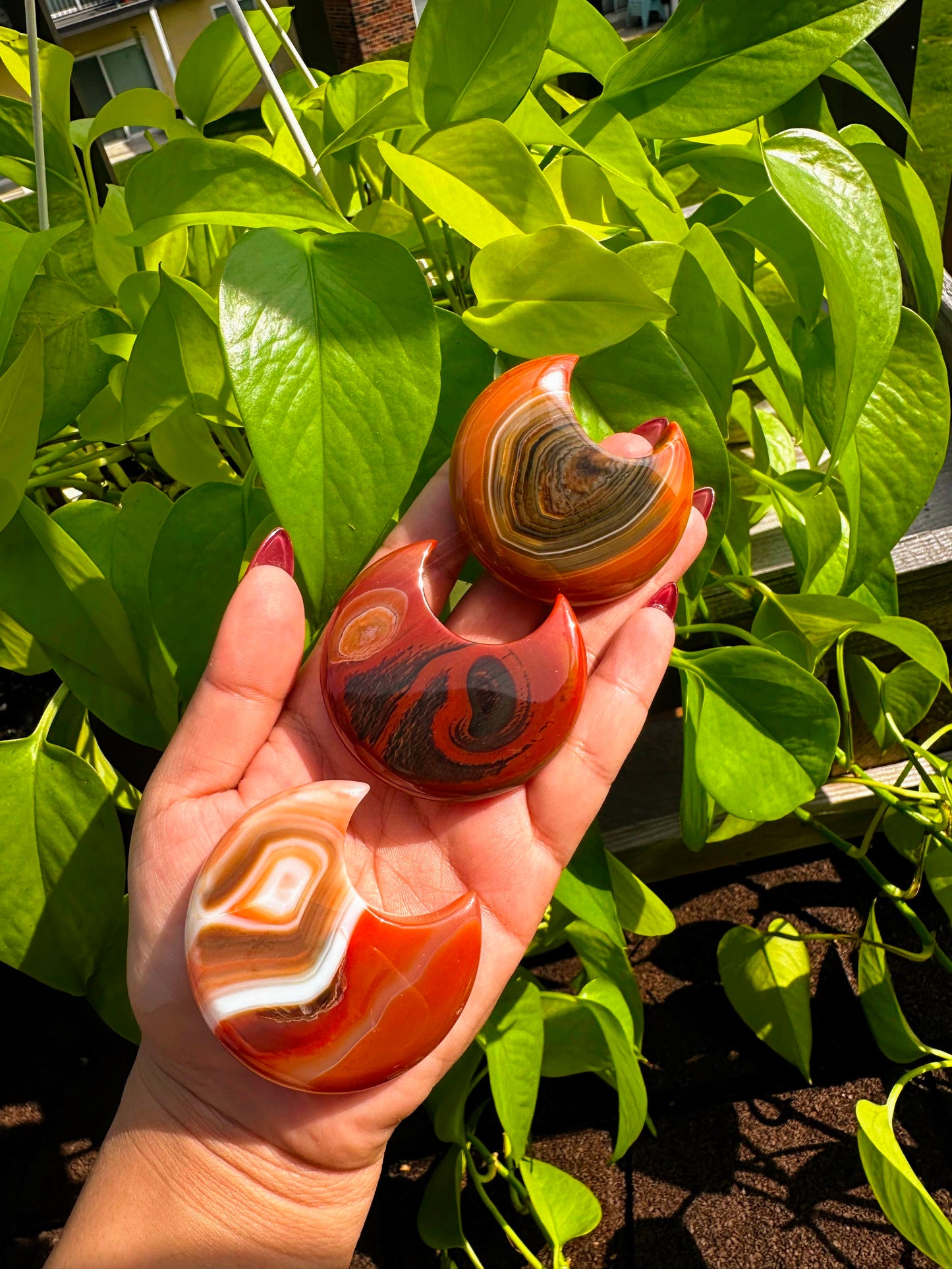 Carnliean Moon Agate Carving Crystals