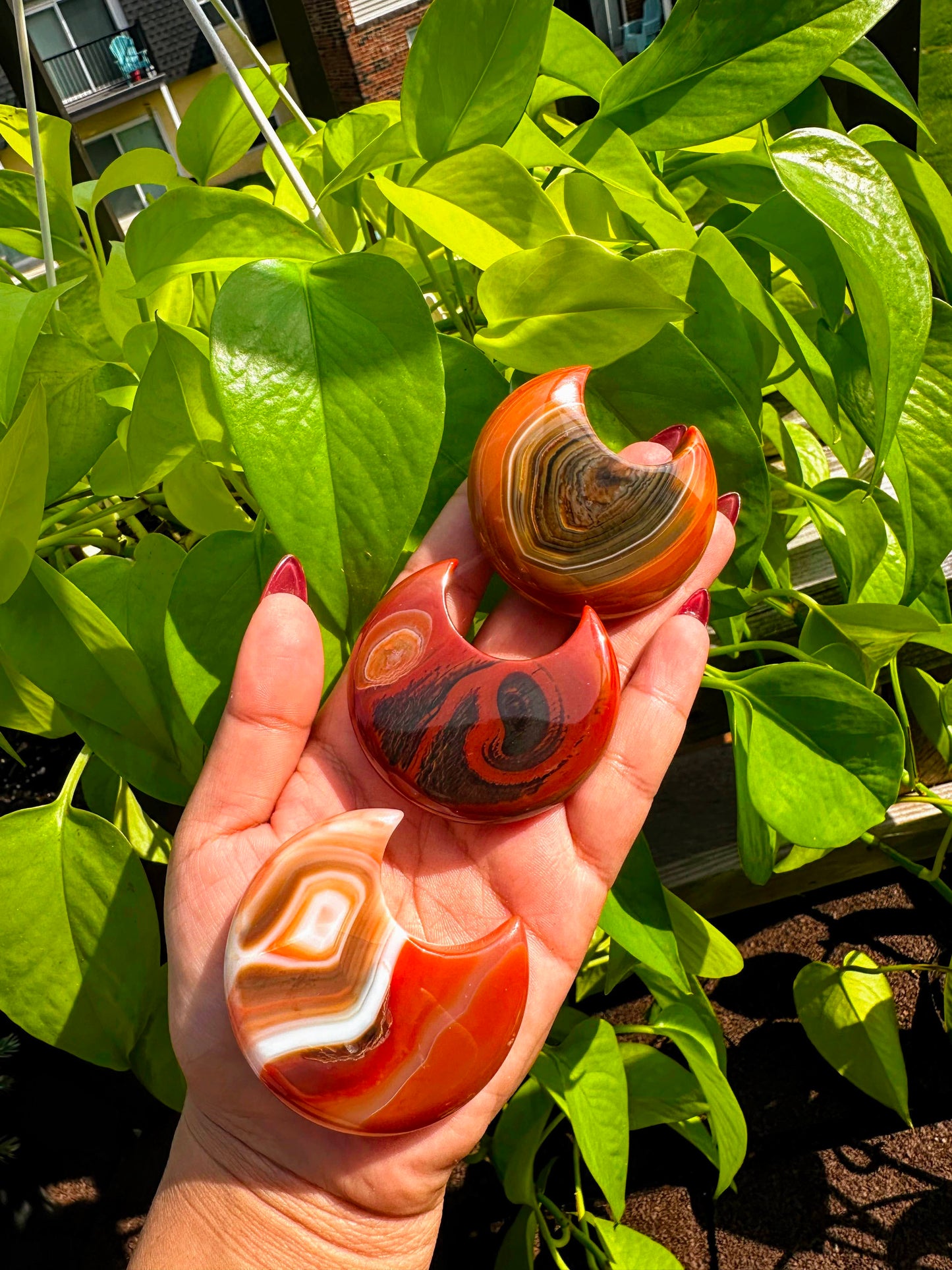 Carnliean Moon Agate Carving Crystals