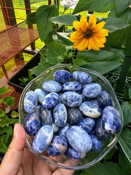 Sodalite Tumbles