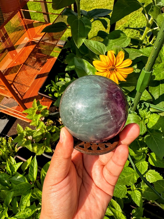 Fluorite Sphere with Wooden Stand B