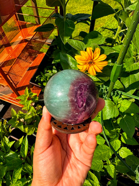 Fluorite Sphere with Wooden Stand B