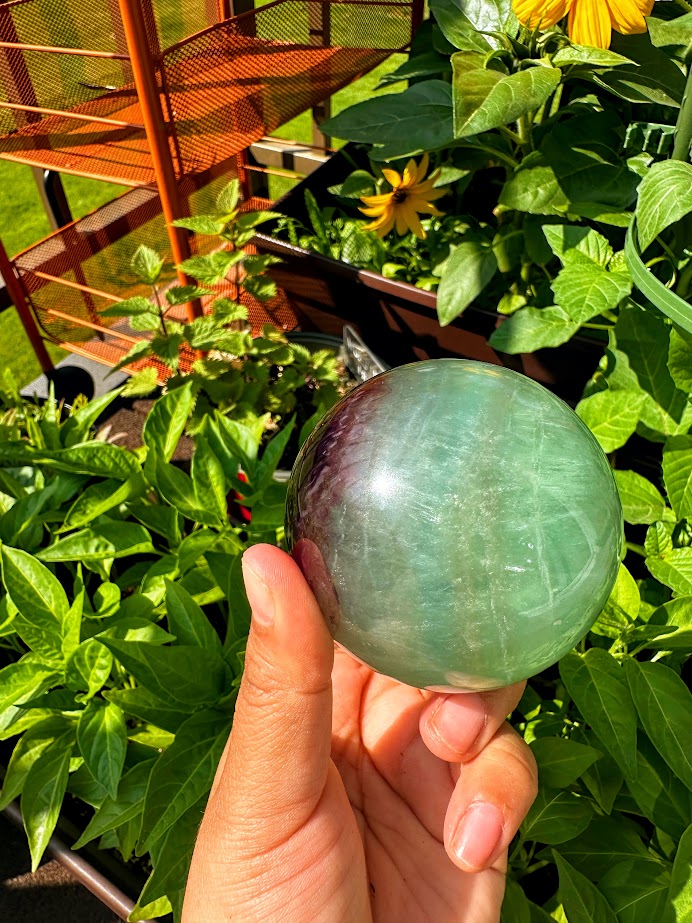 Fluorite Sphere with Wooden Stand C