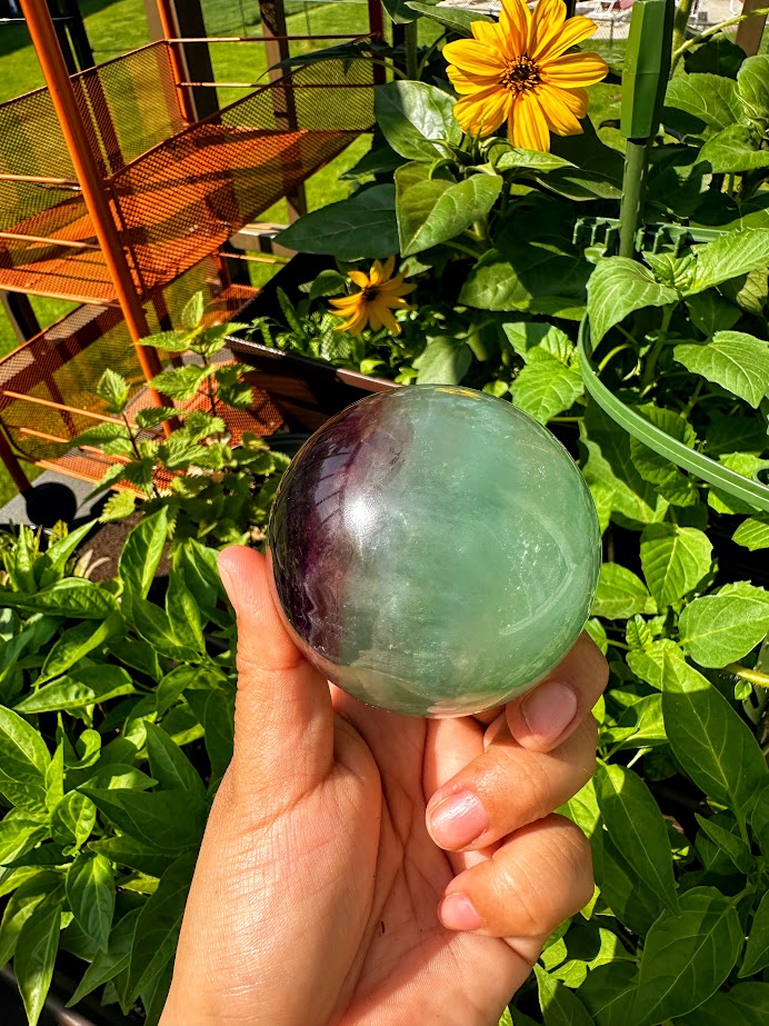 Fluorite Sphere with Wooden Stand C