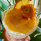 Sweet Sage and Pineapple 8oz Upcycled Soy Candle