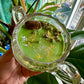 Herbal Garden-Upcycled Candle Soy wax- Garden Mint