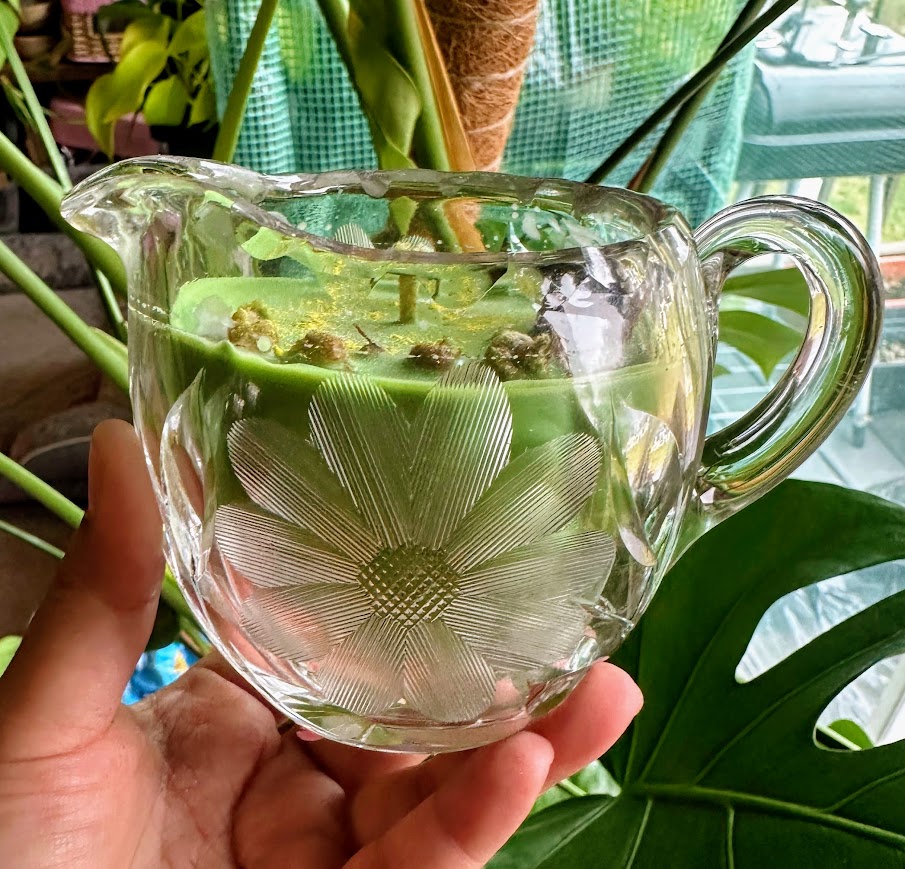 Herbal Garden-Upcycled Candle Soy Wax- Garden Mint