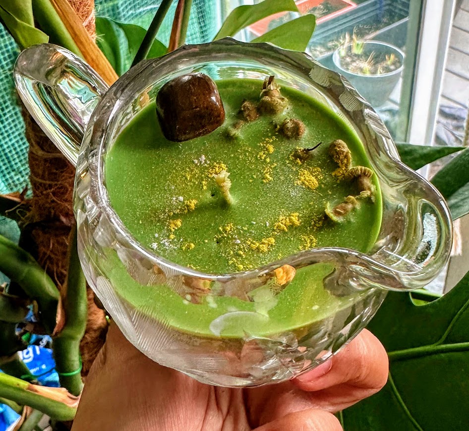 Herbal Garden-Upcycled Candle Soy Wax- Garden Mint