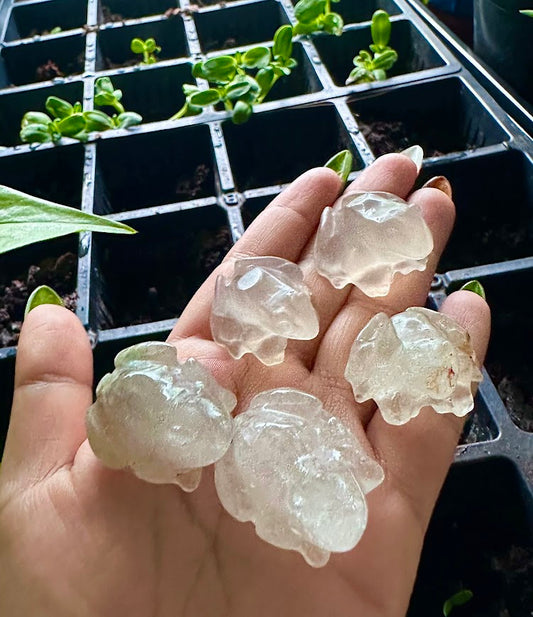 Clear Quartz Frog Animal Carving