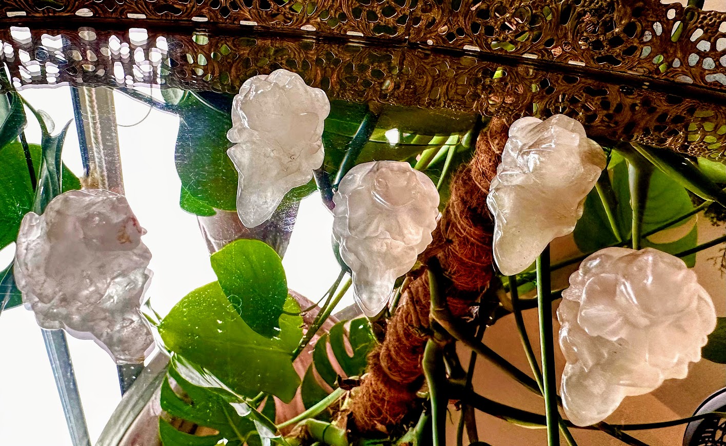 Clear Quartz Frog Animal Carving