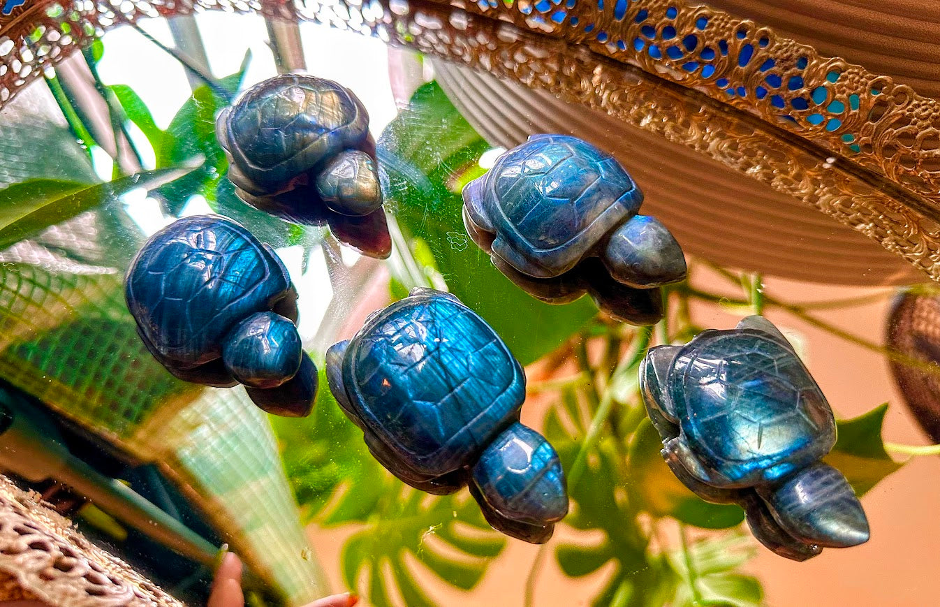 Labradorite Turtle Crystal Carving