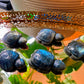 Labradorite Turtle Crystal Carving