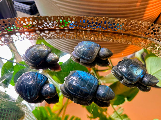 Labradorite Turtle Crystal Carving