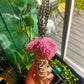carnation herb bundle