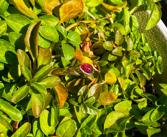 Pink Tourmaline Sterling Silver Ring size 6