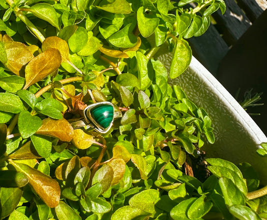 Malachite Sterling Silver Ring Size 9