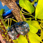 Dragon Stone Quartz Skull