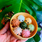Dumplings Crystal Caving