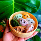 Dumplings Crystal Caving