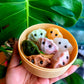 Dumplings Crystal Caving