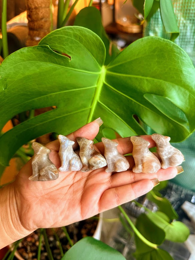 Wolf Crystal Carvings Moonstone