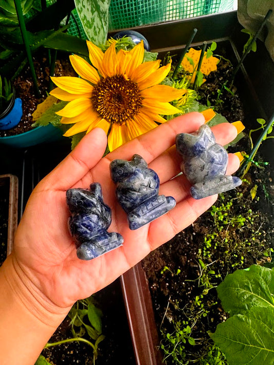Sodalite Owl Crystal Carvings