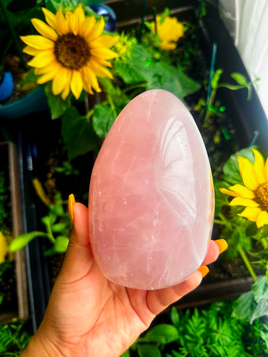 Rose Quartz Freeforms